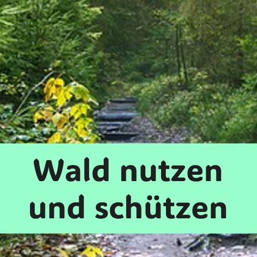 Wald schützen